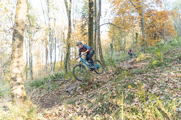 Hornissen Trail AlleFotos