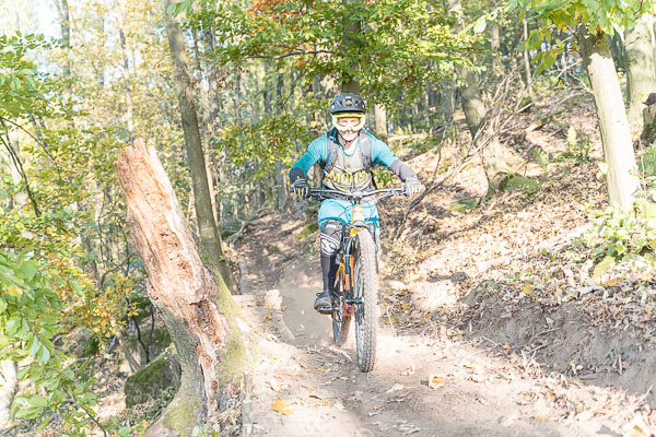 Hornissen Trail AlleFotos