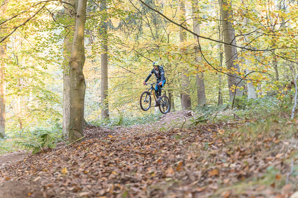 Hornissen Trail AlleFotos